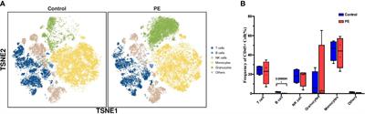 Phenotypic and functional alteration of CD45+ immune cells in the decidua of preeclampsia patients analyzed by mass cytometry (CyTOF)